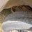 #41749-•-1998-dodge-ram-pickup-vin:-1b7hc16x2ws609690-image-8