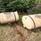 #516-•-(2)-saddle-tanks-image-1