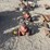 #40584-•-lot-of-(2)-4”-gate-valves-image-5