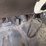#23967-•-2004-chevrolet-silverado-pickup-vin:-1gcec14x74z216889-image-40