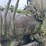 #23991-•-inop-michigan-290y-scraper-tractor-dozer-62781-image-29