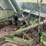 #23991-•-inop-michigan-290y-scraper-tractor-dozer-62781-image-23