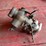 rayfield-carburetor-image-1