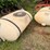 #516-•-(2)-saddle-tanks-image-8