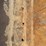 deere-544b-image-25