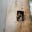 #41744-•-48'-t/a-steel-chip-trailer-image-14