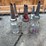 oil-bottles-and-carrier-image-1