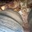 #41745-•-steel-48'-t/a-chip-trailer-image-7