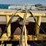 #41735-•-bedder-roller-inv#-41735-image-17