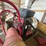 #42106-•-little-wonder-vacuum-image-11