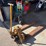 #1817-•-barrett-pallet-jack-image-1