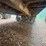 #41744-•-48'-t/a-steel-chip-trailer-image-16