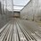 #23994-•-spec-tec-52'-t/a-aluminum-chip-trailer-vin:-159wa633195188065-image-27