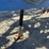 dmi-tigermate-image-28
