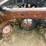 #23987-•-inop-1979-international-f-2554-t/a-single-cab-truck-tractor-cf255jha29827-image-31