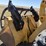 1997-deere-544g-image-43
