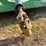 john-deere-mx6-image-6