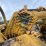 #23988-•-inop-caterpillar-c613-scraper-image-25