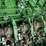 2016-john-deere-l340-image-33