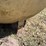 #1889-•-round-propane-tank-image-9