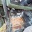 #23974-•-inop-1984-chevrolet-military-truck-4x4-pickup-vin:-1gchd34j7ff338030-image-39