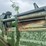 #23990-•-inop-michigan-290-scraper-tractor-dozer-image-9