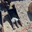 #42706-•-12"-mini-excavator-bucket-w/teeth-inv#-42706-image-2