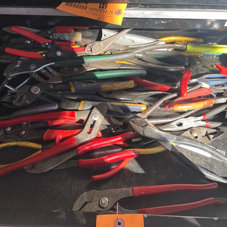 #1825 • Assorted Pliers