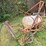 #533-•-12-row-sprayer-image-3