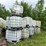 #23983-•-lot-of-(13)-poly-tanks-w/-cage-image-1