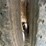#23994-•-spec-tec-52'-t/a-aluminum-chip-trailer-vin:-159wa633195188065-image-10