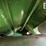 2016-john-deere-s680-image-54