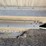 2015-timpte-hopper-bottom-image-28