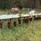 #518-•-kmc-subsoiler---13-shank-image-2