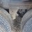 2019-utility-3000r-image-10