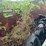 #23990-•-inop-michigan-290-scraper-tractor-dozer-image-13