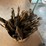 #1862-•-assorted-handled-tools-and-drill-bits-image-14