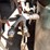 #1829-•-rol-air-air-compressor-image-9