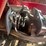 massey-ferguson-1643-image-36