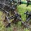 #504-•-unverferth,-model-330---12-row-ripper/stripper-tiller-image-8