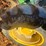 john-deere-5093e-image-7