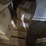 #42114-•-lot-of-miscellaneous-gloves-&-toner-cartridges-image-5
