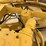 caterpillar-120-image-29