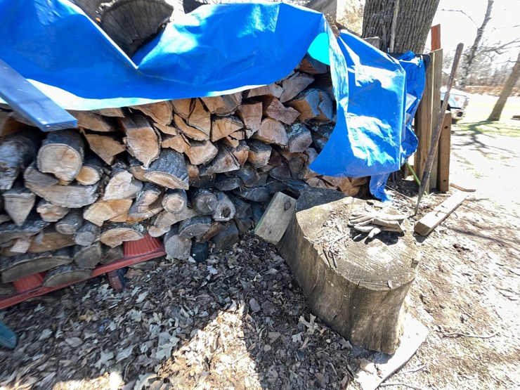 #1890-•-(2)-piles-of-firewood-image-14