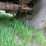 #23993-•-fast-44'-t/a-aluminum-chip-trailer-image-19