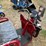 #584-•-electric-tricycle-with-dump-bed-image-3