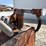 #5355-•-1000gal-fuel-tank-inv#-5355-image-8