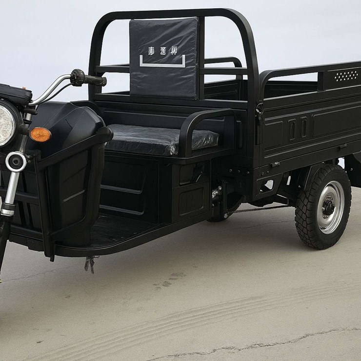 (Black) IRET13 Electric Tricycle (New/Unused) *Unassembled*