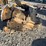 caterpillar-980b-image-3