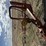 eurorake-9-wheel-rake-3380-image-15